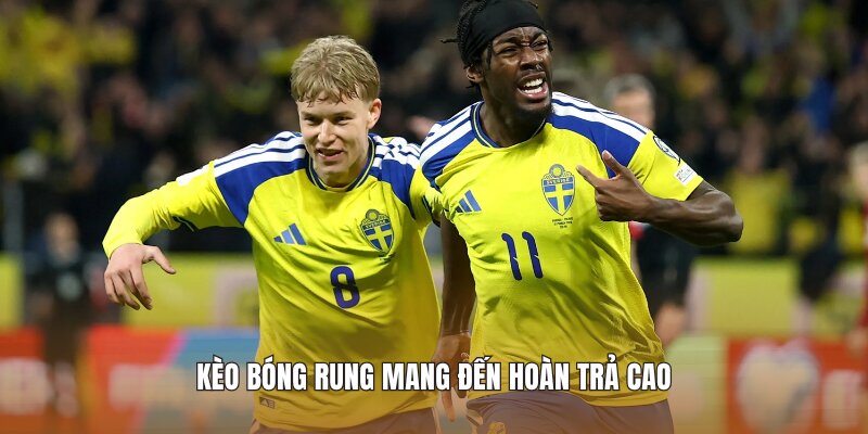 Kèo bóng rung mang đến hoàn trả cao