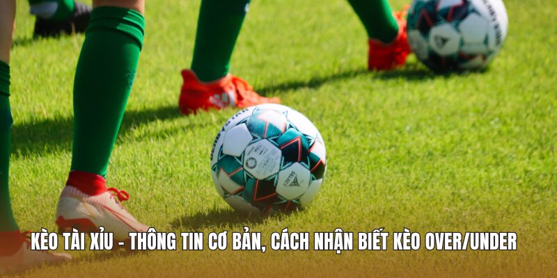 Kèo Tài Xỉu