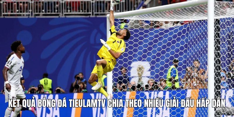 Kết quả bóng đá Tieulamtv chia theo nhiều giải đấu hấp dẫn