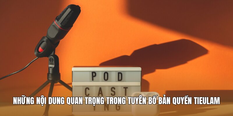 Những nội dung quan trọng trong tuyên bố bản quyền Tieulam
