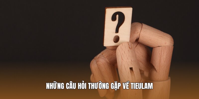 Những câu hỏi thường gặp về trang tin Tieulam 