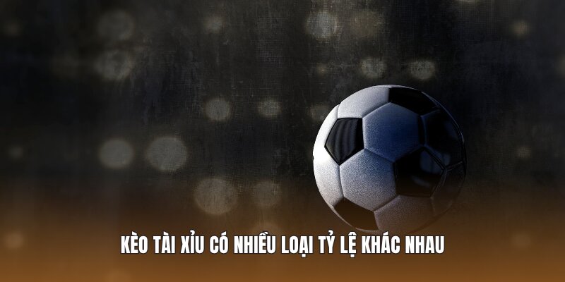Kèo Tài Xỉu có nhiều loại tỷ lệ khác nhau