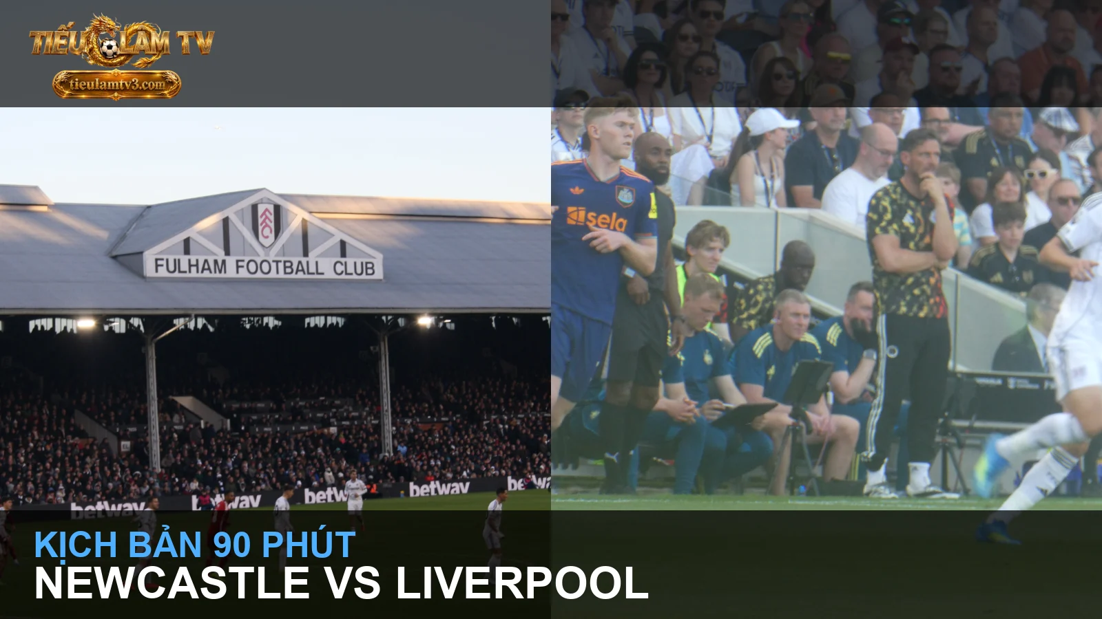 Newcastle United và Liverpool trong ảnh thi đấu năm 2026 - ảnh trong bài