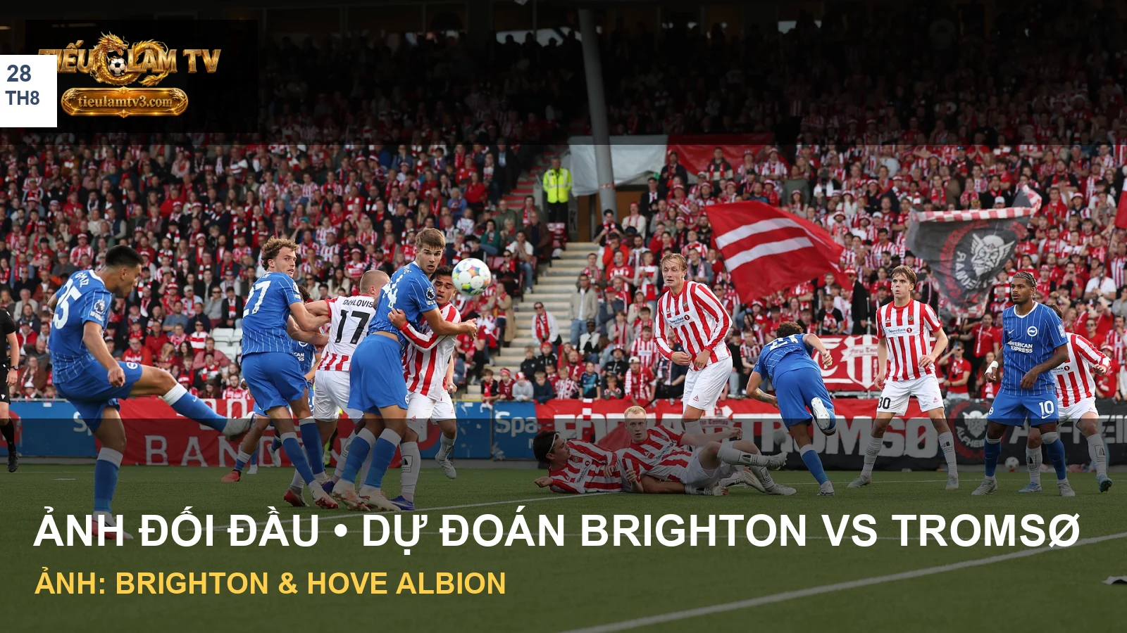 Cầu thủ Brighton trước vòng cấm Tromsø ở lượt đi