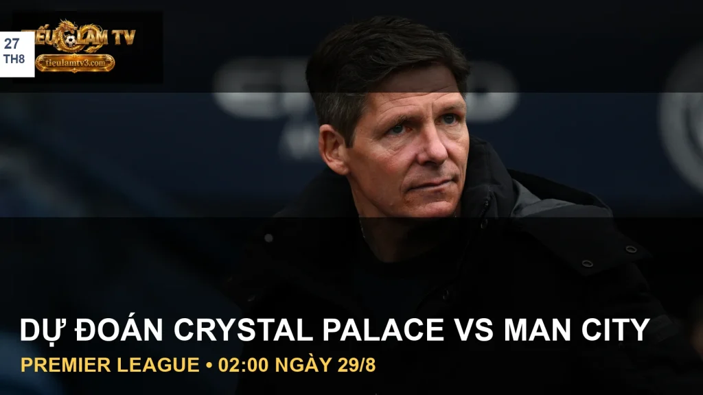Cầu thủ Crystal Palace và Manchester City trong ảnh tư liệu trận đấu