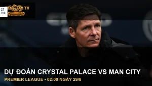 Cầu thủ Crystal Palace và Manchester City trong ảnh tư liệu trận đấu