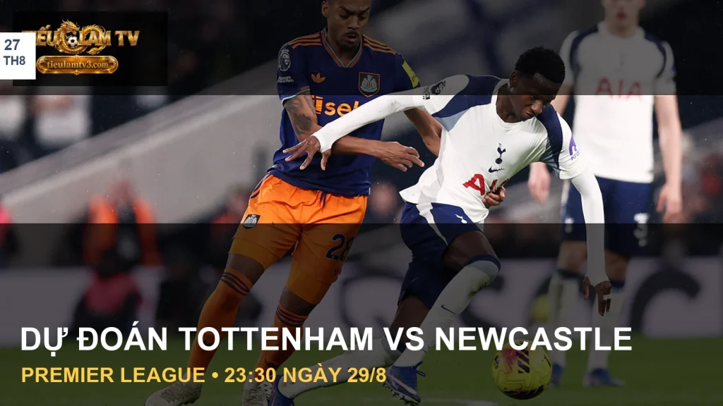 Cầu thủ Tottenham Hotspur và Newcastle United trong ảnh tư liệu trận đấu