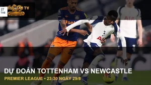 Cầu thủ Tottenham Hotspur và Newcastle United trong ảnh tư liệu trận đấu