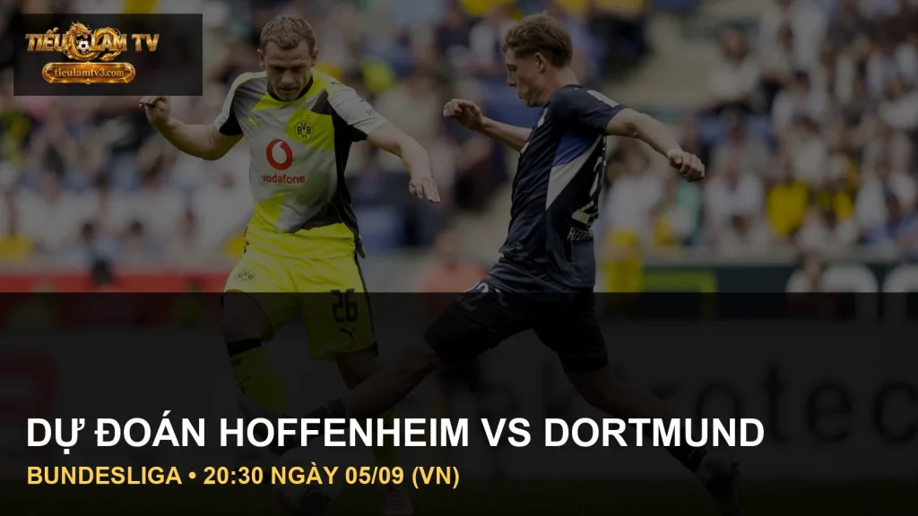 Cầu thủ TSG Hoffenheim vs Borussia Dortmund trong ảnh trận đấu thực tế