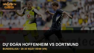 Cầu thủ TSG Hoffenheim vs Borussia Dortmund trong ảnh trận đấu thực tế