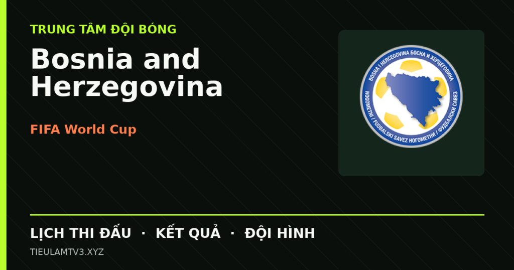 Đồ họa bóng đá Bosnia and Herzegovina tại FIFA World Cup