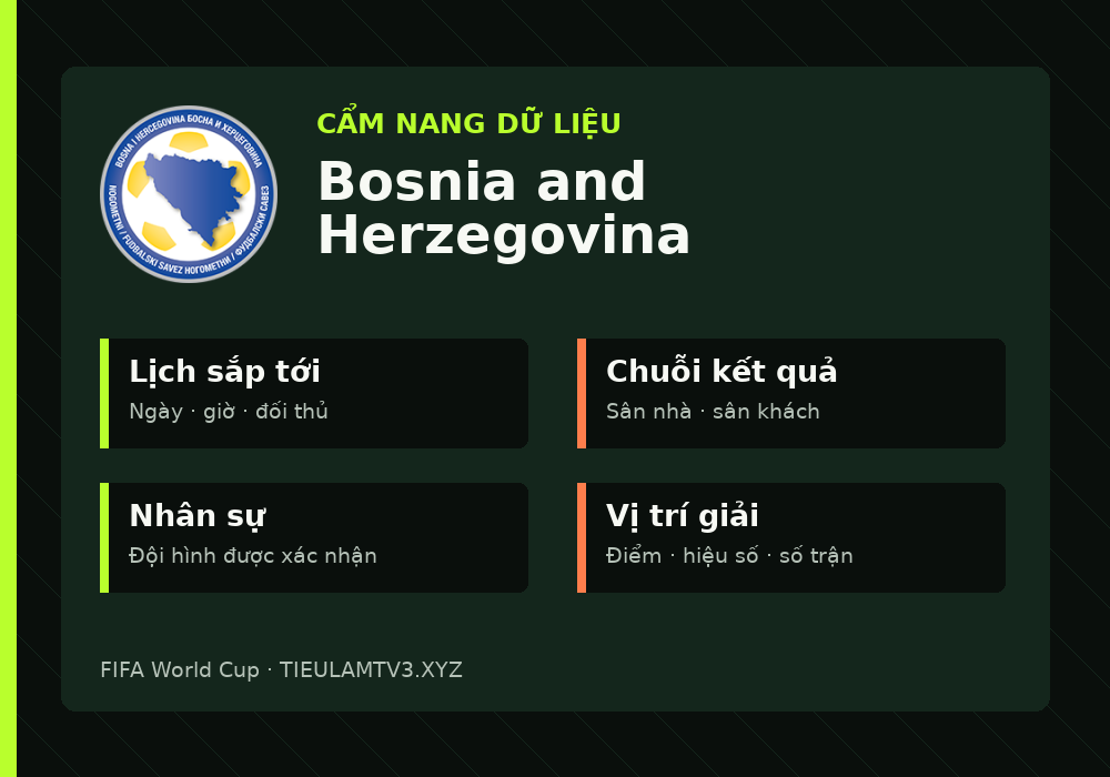 Phân tích phong độ và lối chơi Bosnia and Herzegovina