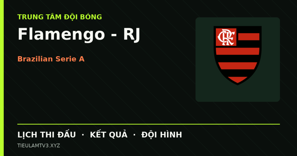 Đồ họa bóng đá Flamengo - RJ tại Brazilian Serie A