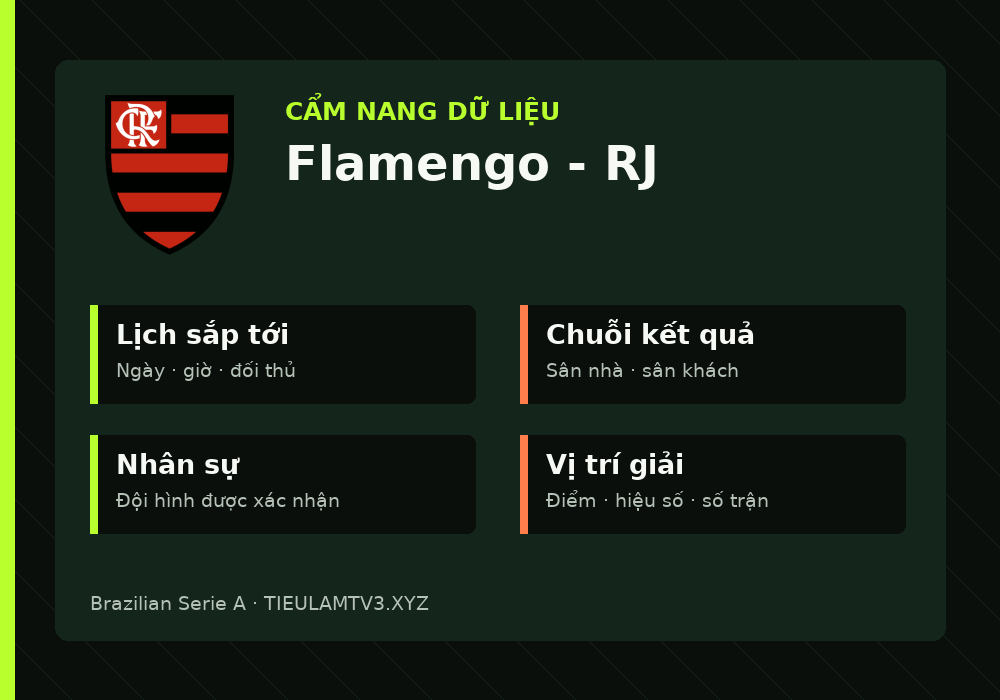 Phân tích phong độ và lối chơi Flamengo - RJ