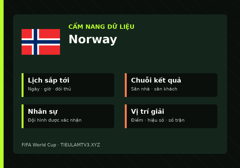 Phân tích phong độ và lối chơi Norway