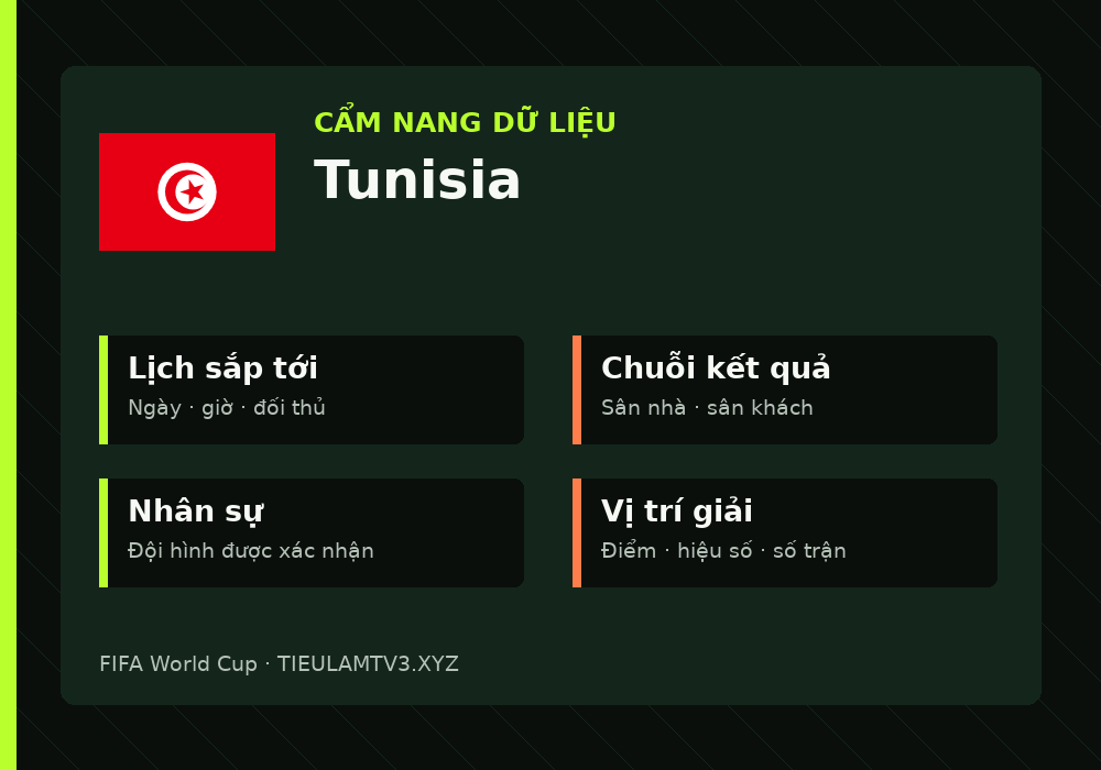 Phân tích phong độ và lối chơi Tunisia